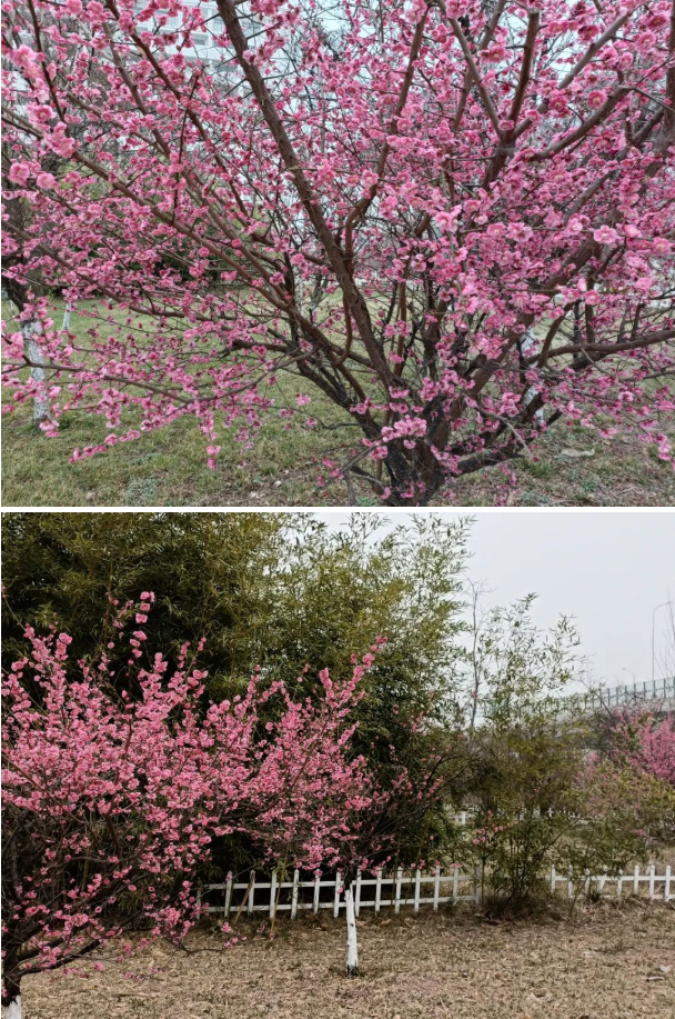 微信截图_20220315083356.png